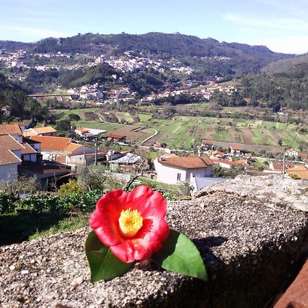 Vila Casinha Da Sobreira Penacova Exteriér fotografie