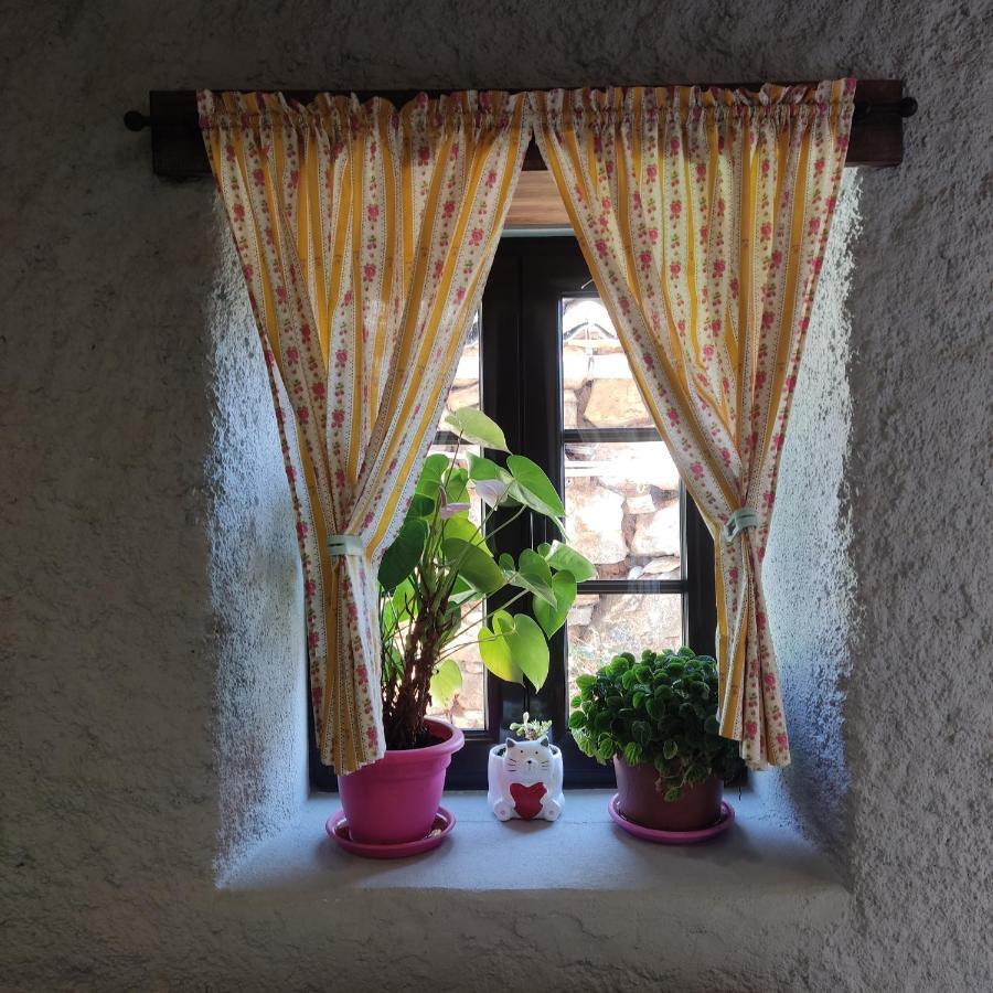 Vila Casinha Da Sobreira Penacova Exteriér fotografie
