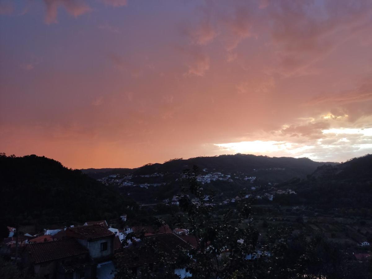 Vila Casinha Da Sobreira Penacova Exteriér fotografie