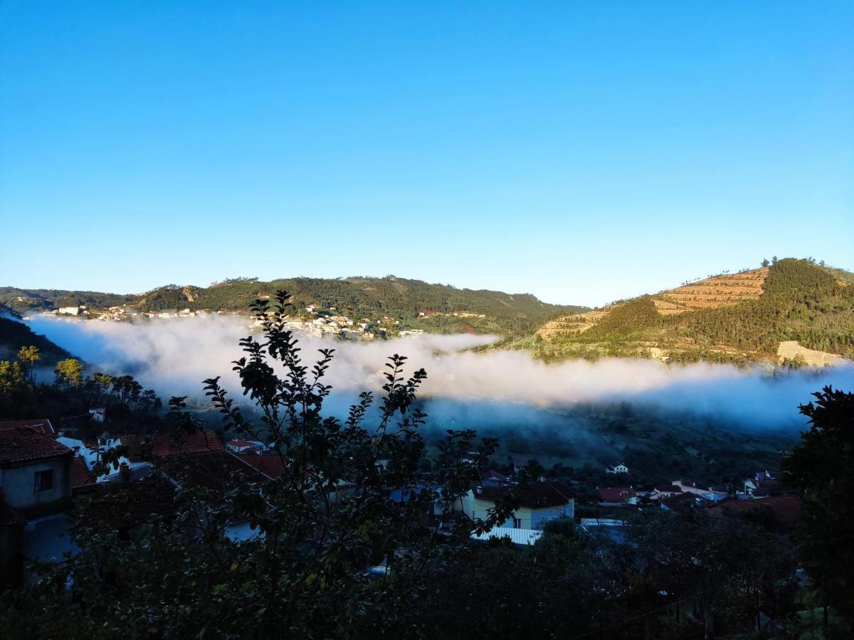 Vila Casinha Da Sobreira Penacova Exteriér fotografie
