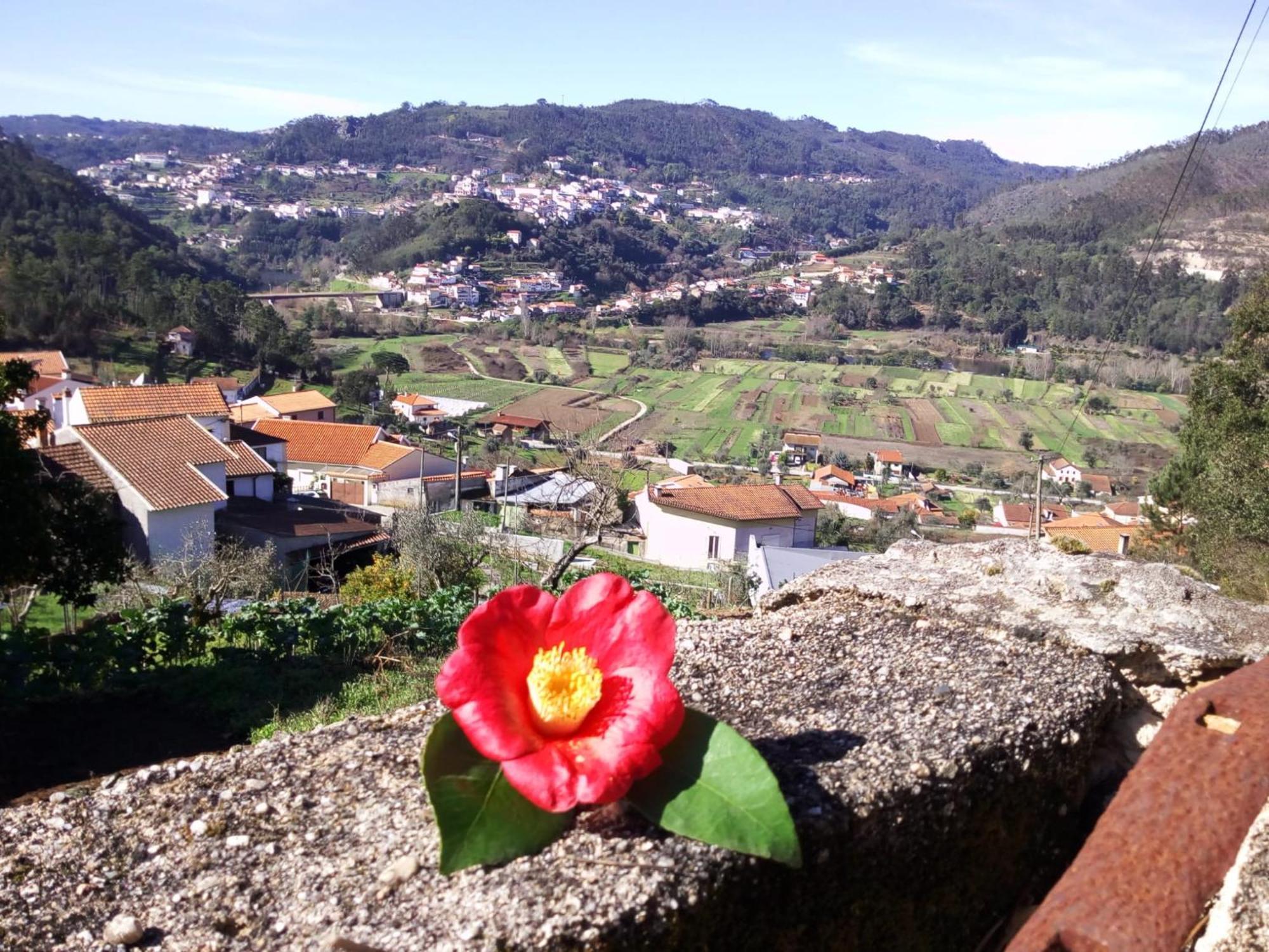 Vila Casinha Da Sobreira Penacova Exteriér fotografie