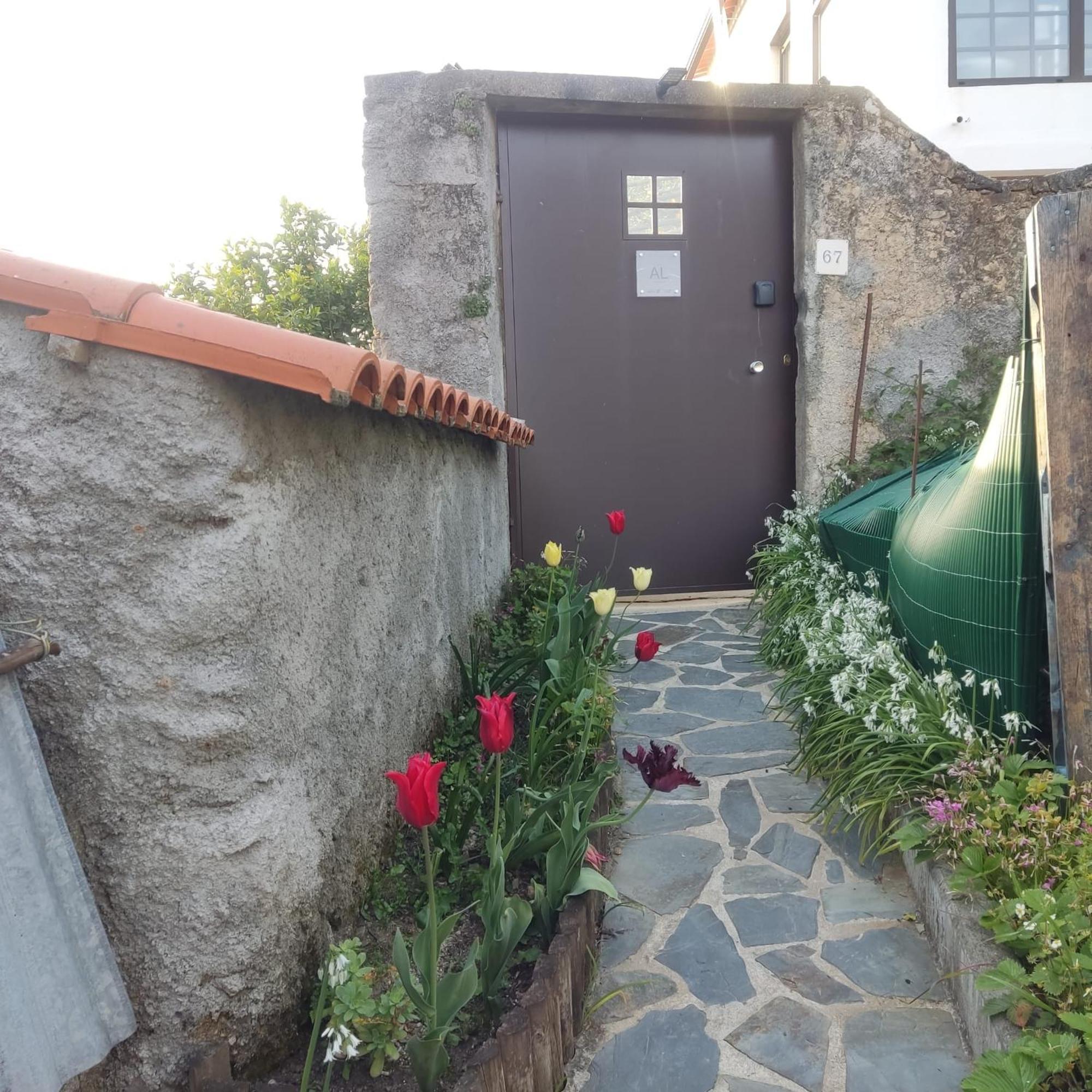 Vila Casinha Da Sobreira Penacova Exteriér fotografie